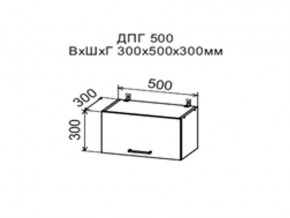 Шкаф верхний ДПГ500 горизонтальный в Екатеринбурге - магазин96.com | фото